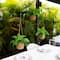 10" UV-Resistant Boston Ferns in Hanging Wicker Baskets, 3ct.